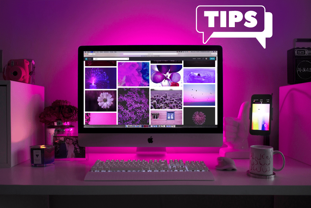 Website Setup